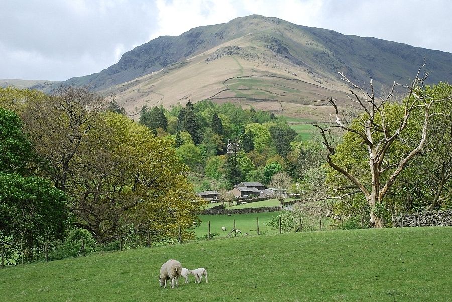 Steel Fell from the lane to Low Mill Bridge