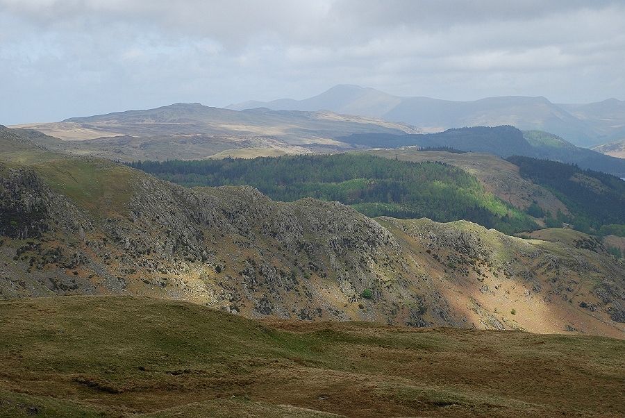 Skiddaw from Steel Fell