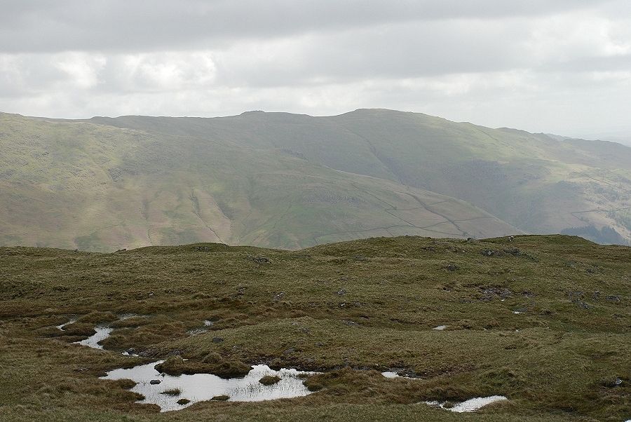 Heron Pike from Steel Fell