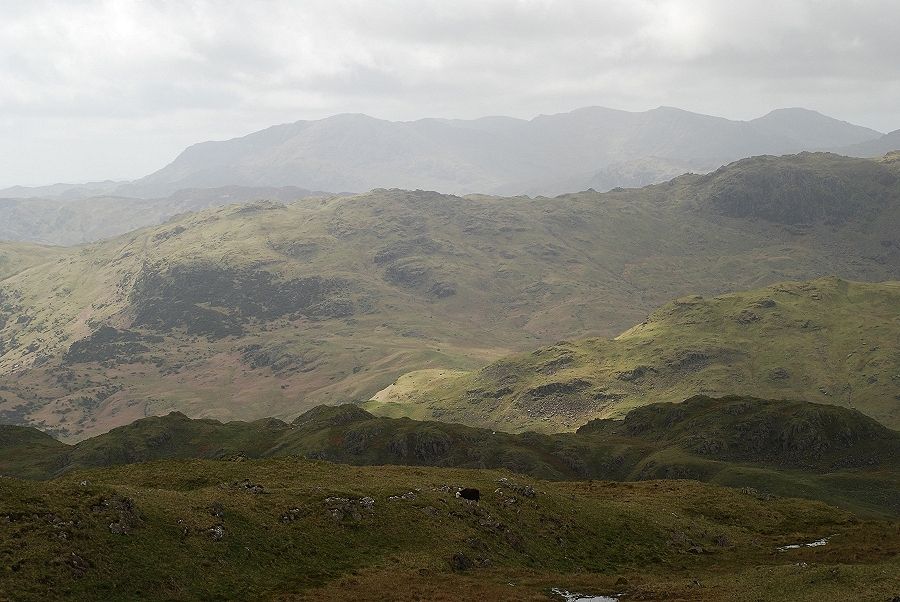 The Coniston fells from Steel Fell