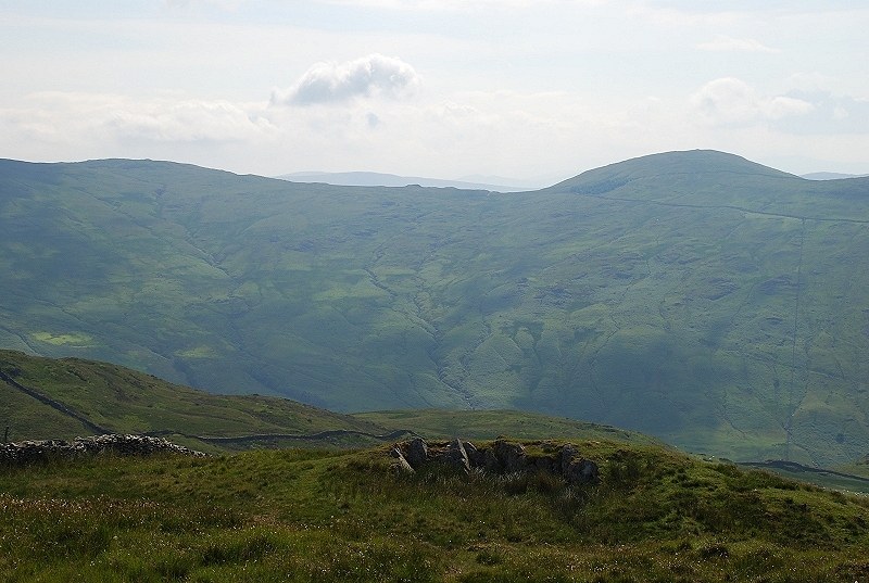 Sallows from Wansfell