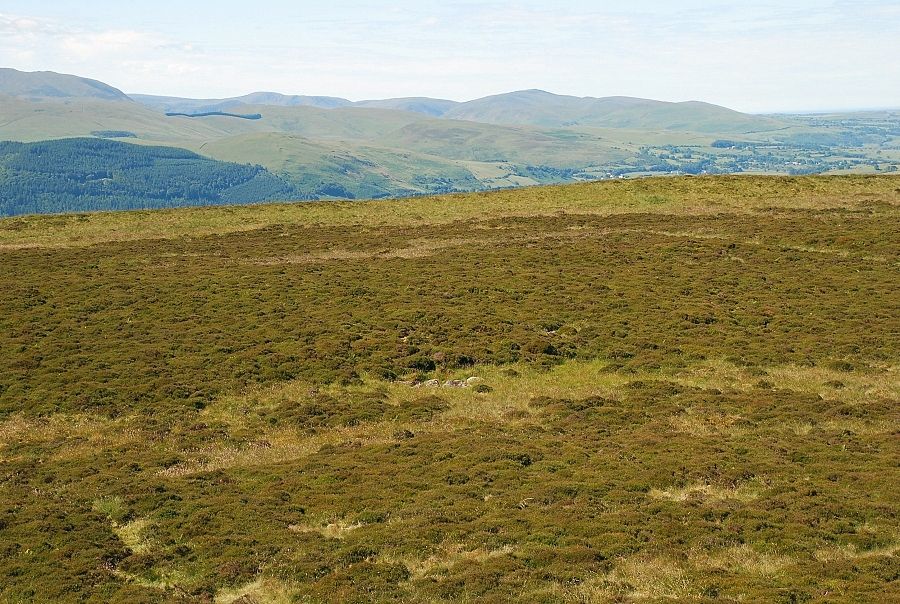 The western fells