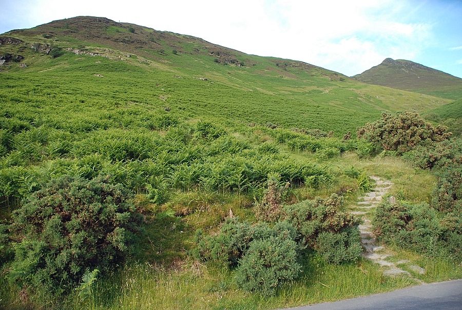 Rowling End and Causey Pike