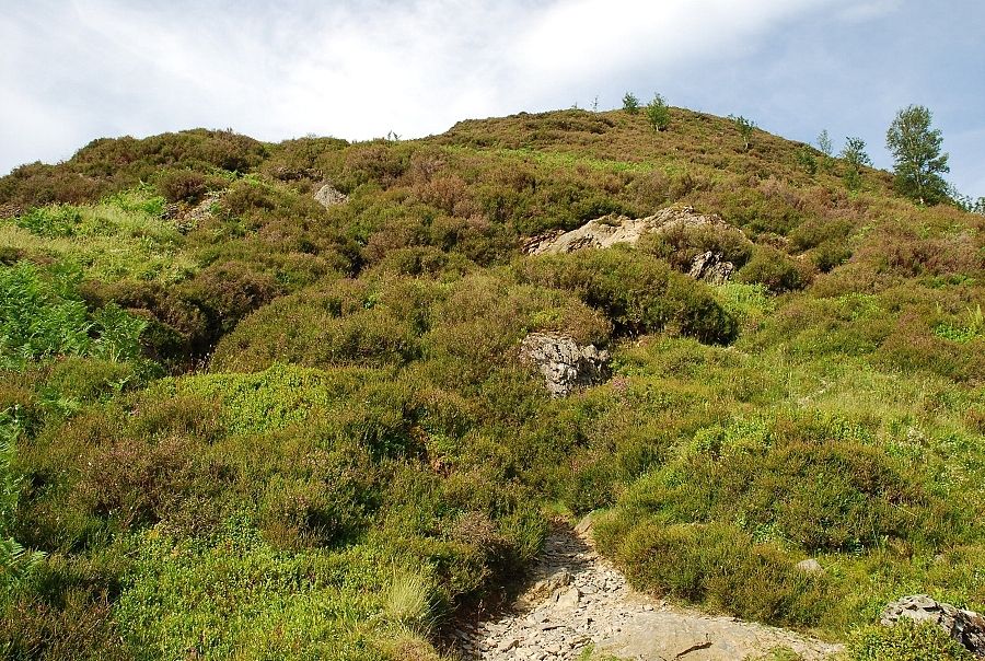 The upper path on Rowling End