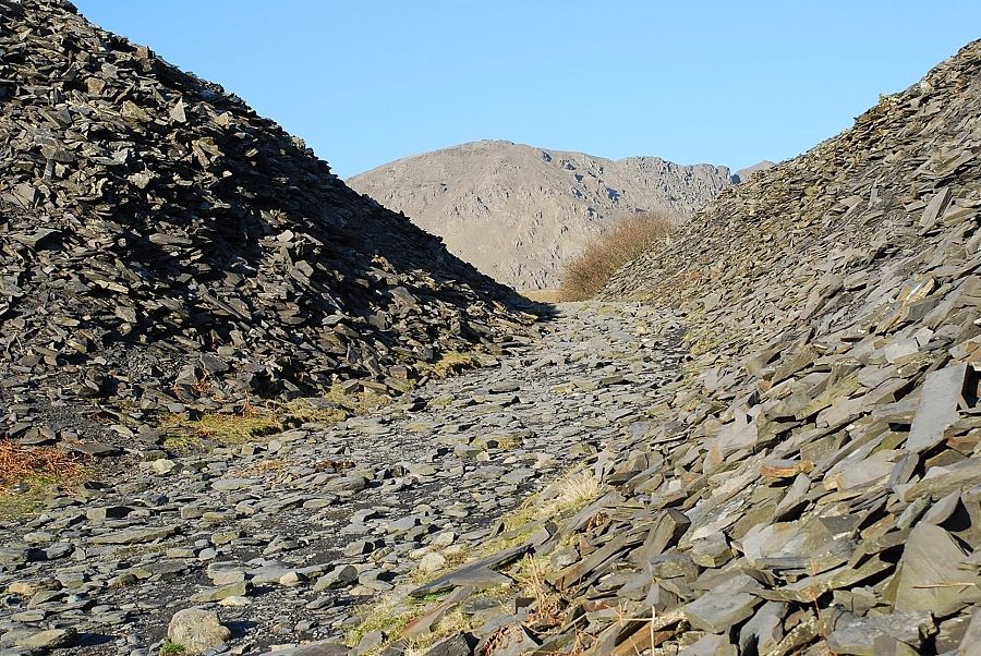 Buck Pike from Banishead Quarry