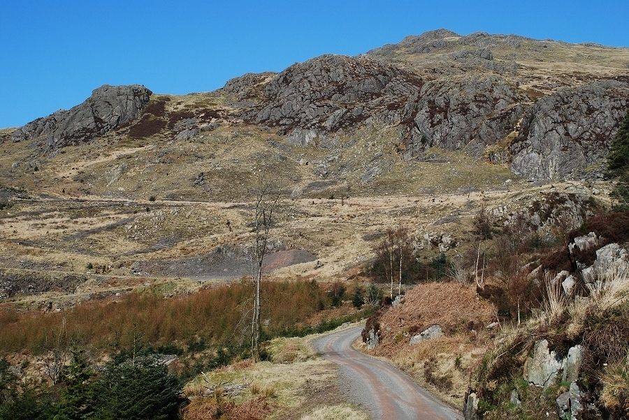 Harter Fell from the forestry road