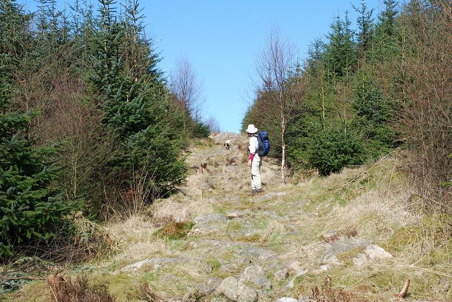 The old bridleway to Eskdale