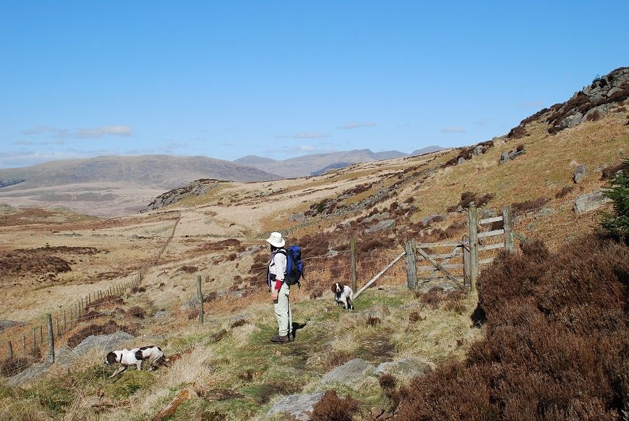 The highest point of the bridleway