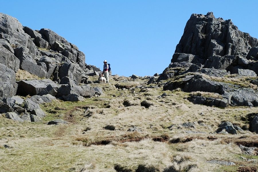 The summit tors of Harter Fell