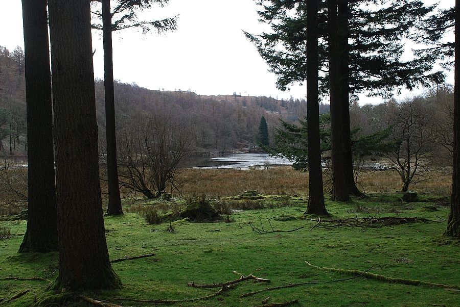 Yew Tree Tarn