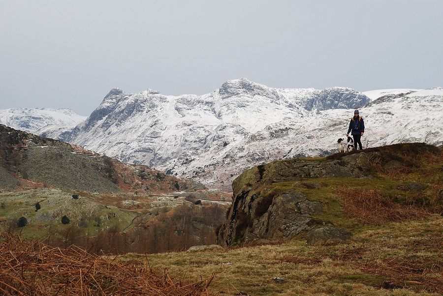 The Langdale Pikes from Uskdale Gap