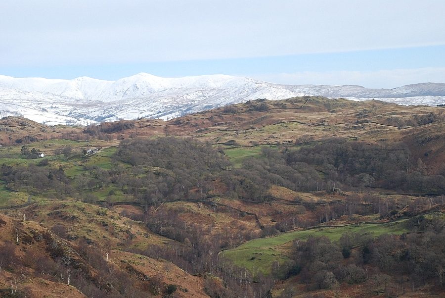 Black Fell from Ivy Crag