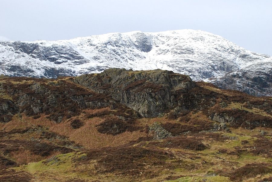 The summit of Holme Fell from Ivy Crag