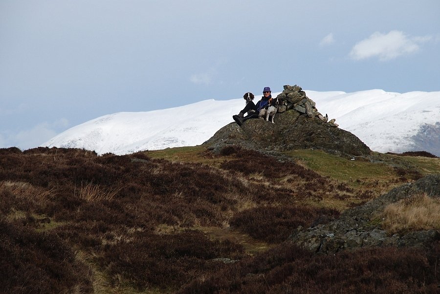 The summit of Holme Fell