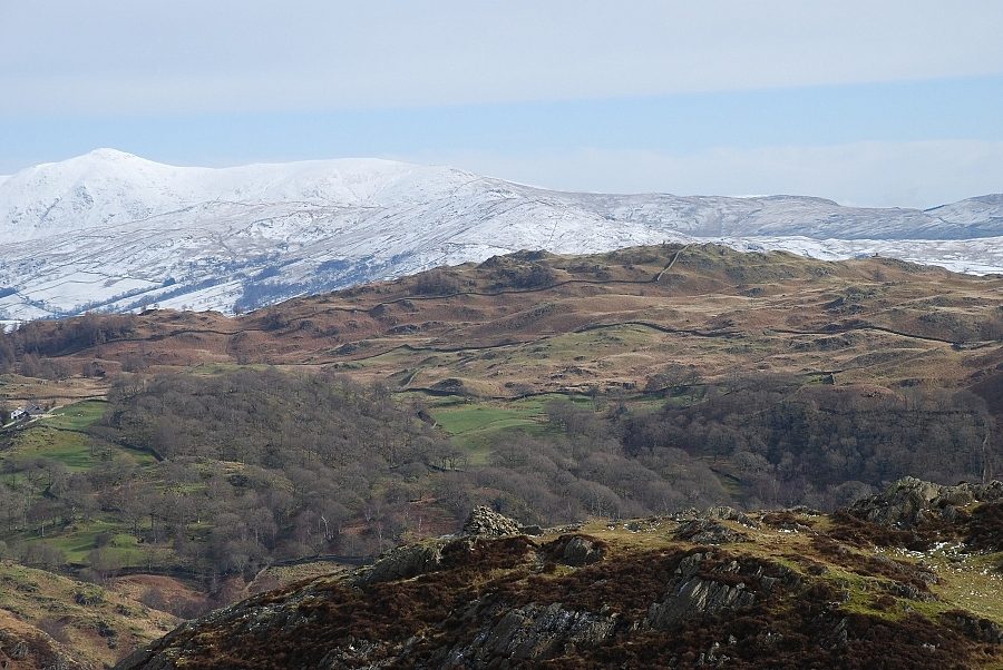Black Fell from Holme Fell