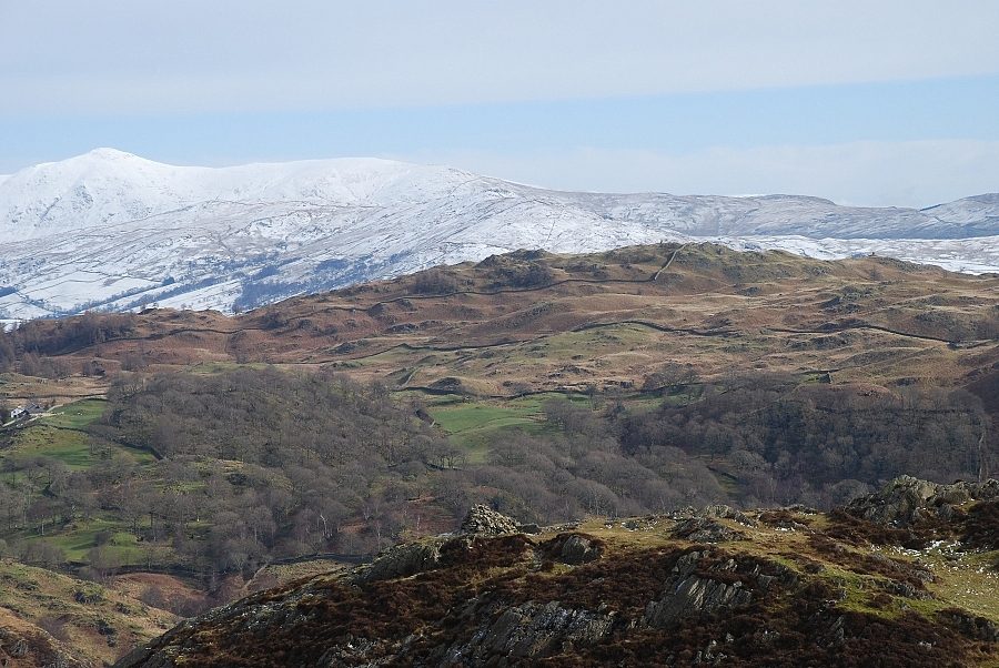 Black Fell from Holme Fell