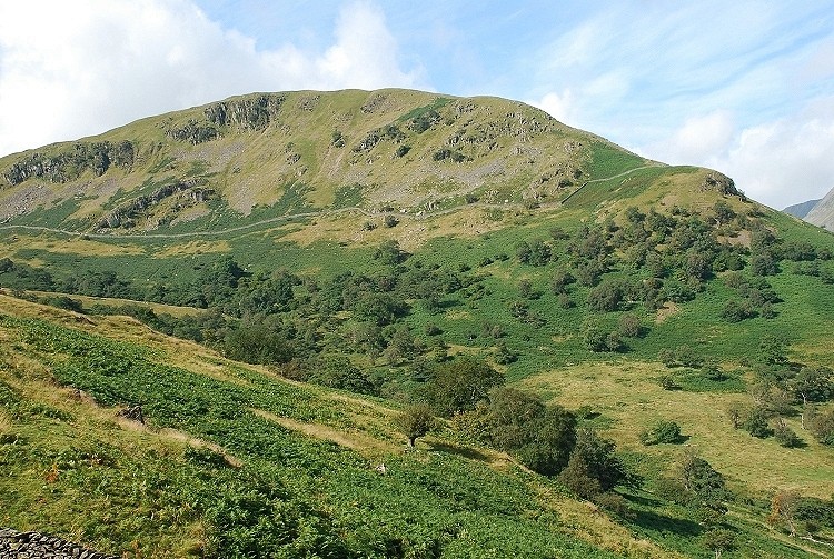 Birks from Arnison Crag