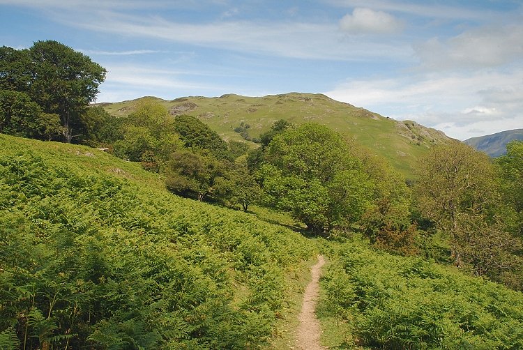 Gowbarrow Fell from Glencoyne Park