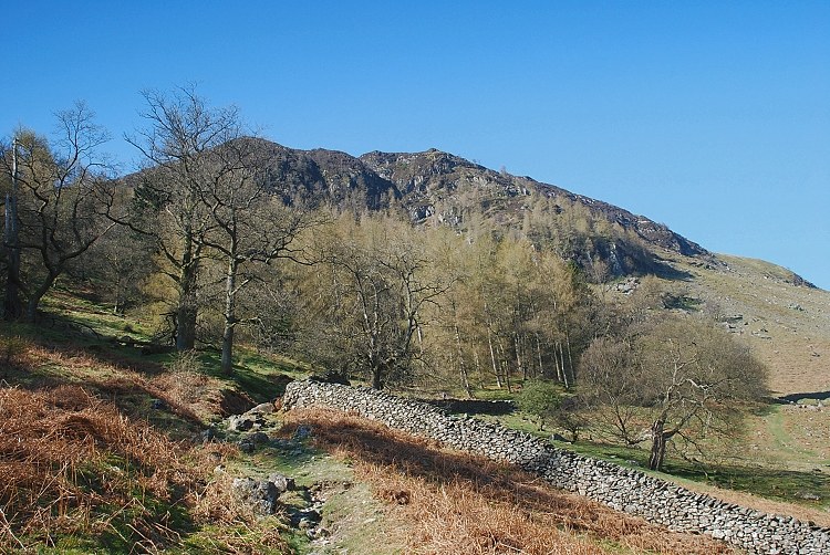 Sheffield Pike from Seldom Seen