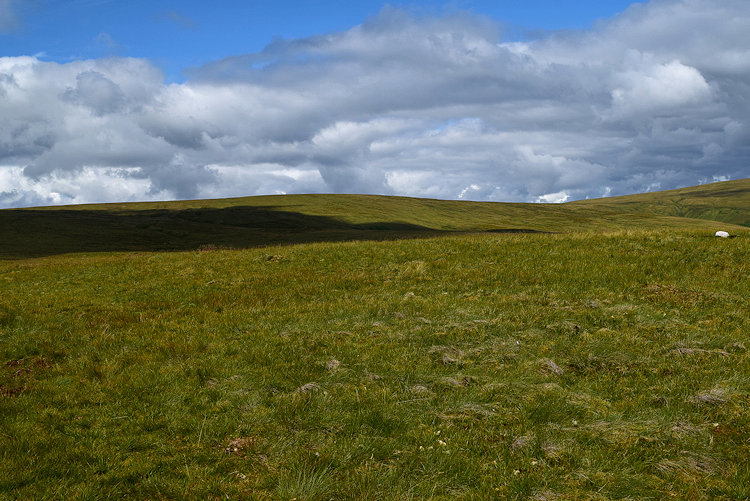 Wether Hill from Low Kop