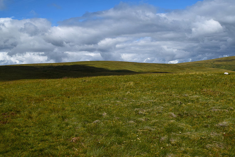 Wether Hill from Low Kop