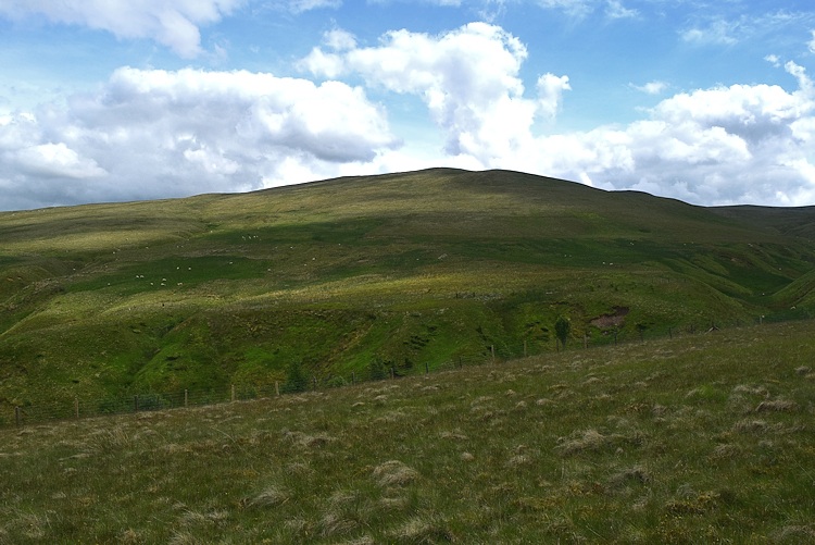 Brae Fell from Charleton Gill