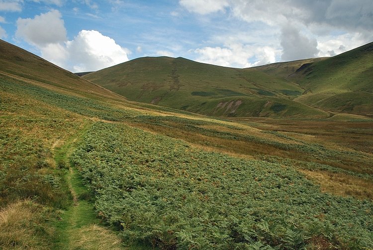 Meal Fell from Longlands Beck