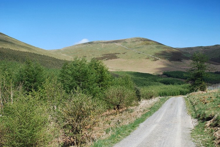 Broom Fell from Darling How