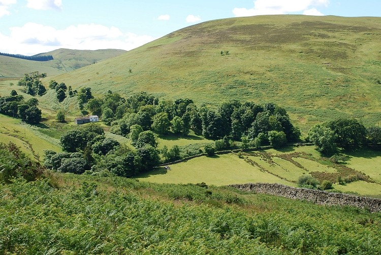 Ling Fell from Sale Fell