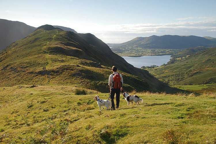 Rannerdale Knotts from Low Bank