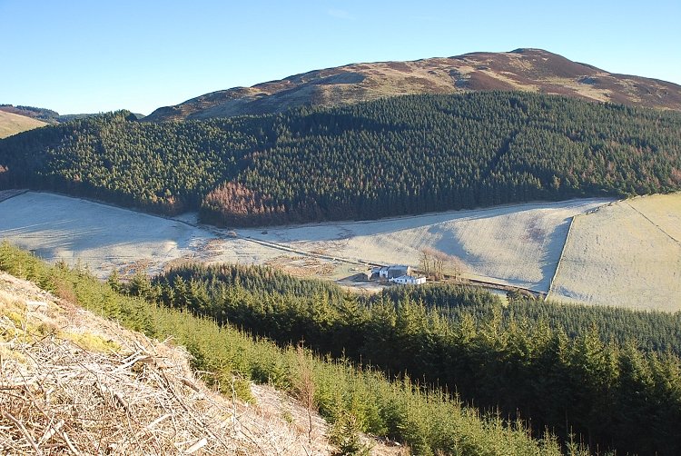 Whinlatter from Graystones