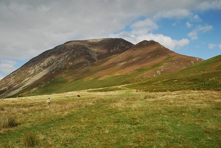 Whiteside from Lanthwaite Green