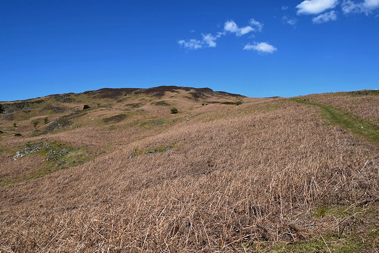 Yew Bank from Strands Neck