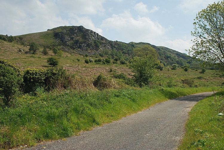 Newton Fell from Barrow Banks