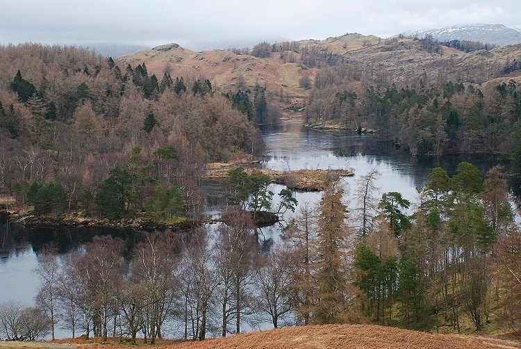 Black Fell from Tarn Hows