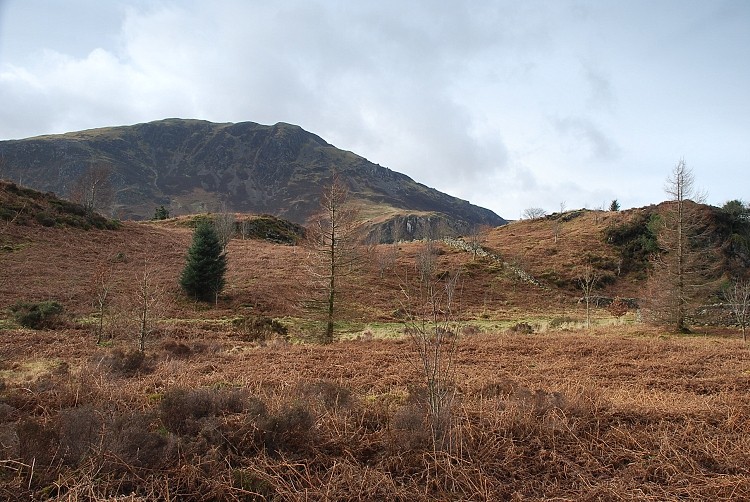 Crag Fell from Bowness