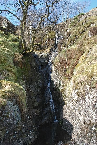 Mere Gill