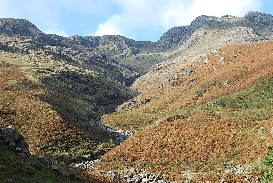 Crinkle Gill